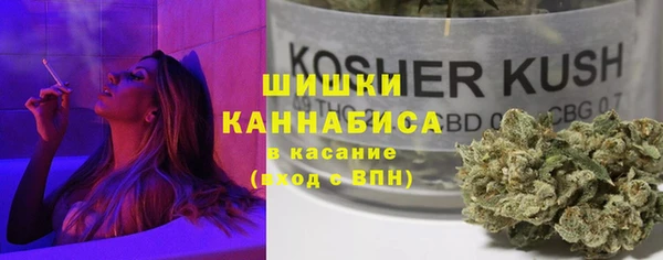 первитин Инсар