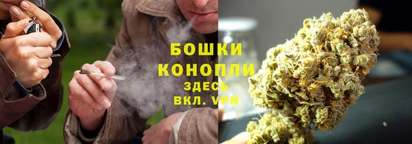 таблы Иннополис