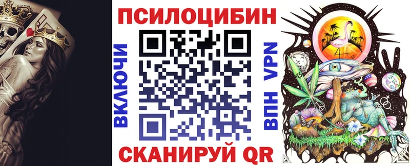 купить   OMG как войти  Галлюциногенные грибы Magic Shrooms  Канаш 