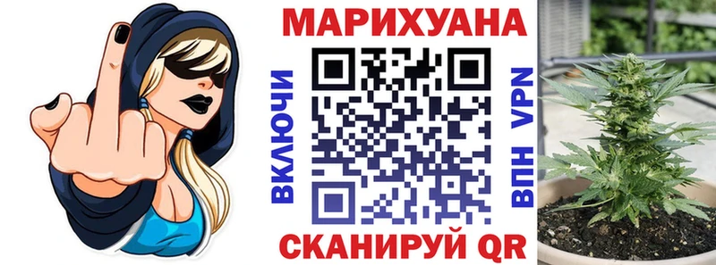где можно купить наркотик  Канаш  МАРИХУАНА тримм 